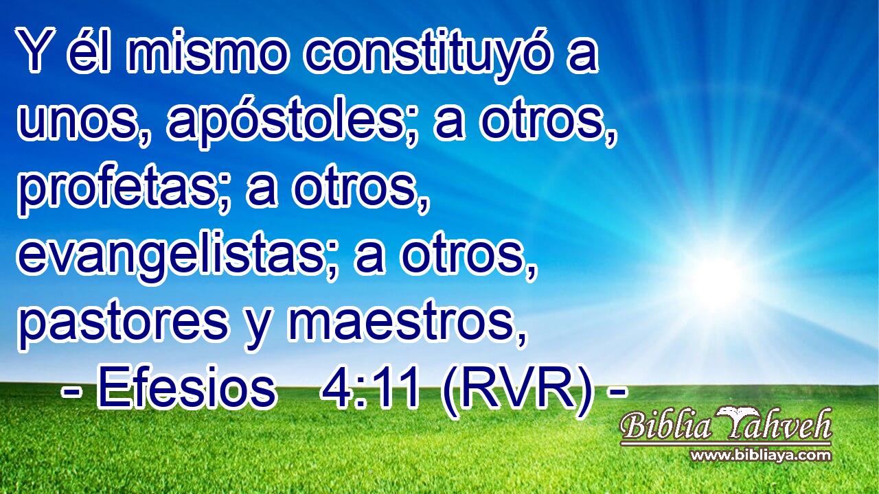 Y él mismo constituyó a unos, apóstoles; a otros, profetas; a otros, evangelistas; a otros, pastores y maestros,