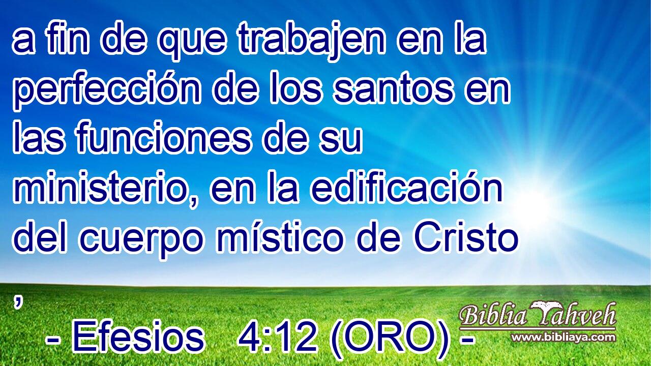  a fin de que trabajen en la perfección de los santos en las funciones de su ministerio, en la edificación del cuerpo místico de Cristo , 