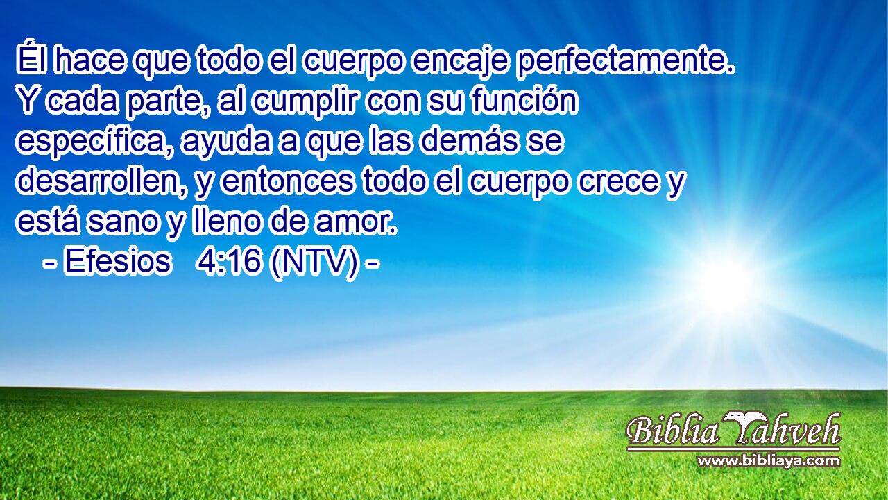 Él hace que todo el cuerpo encaje perfectamente. Y cada parte, al cumplir con su función específica, ayuda a que las demás se desarrollen, y entonces todo el cuerpo crece y está sano y lleno de amor.