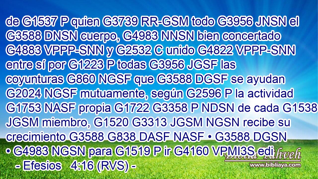 de G1537 P quien G3739 RR-GSM todo G3956 JNSN el G3588 DNSN cuerpo, G4983 NNSN bien concertado G4883 VPPP-SNN y G2532 C unido G4822 VPPP-SNN entre sí por G1223 P todas G3956 JGSF las coyunturas G860 NGSF que G3588 DGSF se ayudan G2024 NGSF mutuamente, según G2596 P la actividad G1753 NASF propia G1722 G3358 P NDSN de cada G1538 JGSM miembro, G1520 G3313 JGSM NGSN recibe su crecimiento G3588 G838 DASF NASF • G3588 DGSN • G4983 NGSN para G1519 P ir G4160 VPMI3S edi