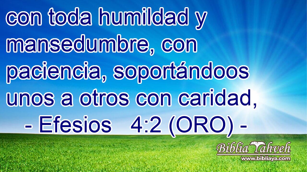  con toda humildad y mansedumbre, con paciencia, soportándoos unos a otros con caridad, 