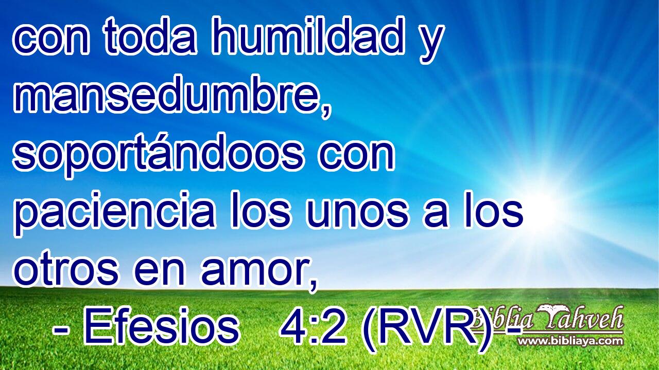 con toda humildad y mansedumbre, soportándoos con paciencia los unos a los otros en amor,
