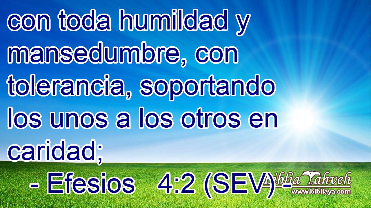 con toda humildad y mansedumbre, con tolerancia, soportando los unos a los otros en caridad;