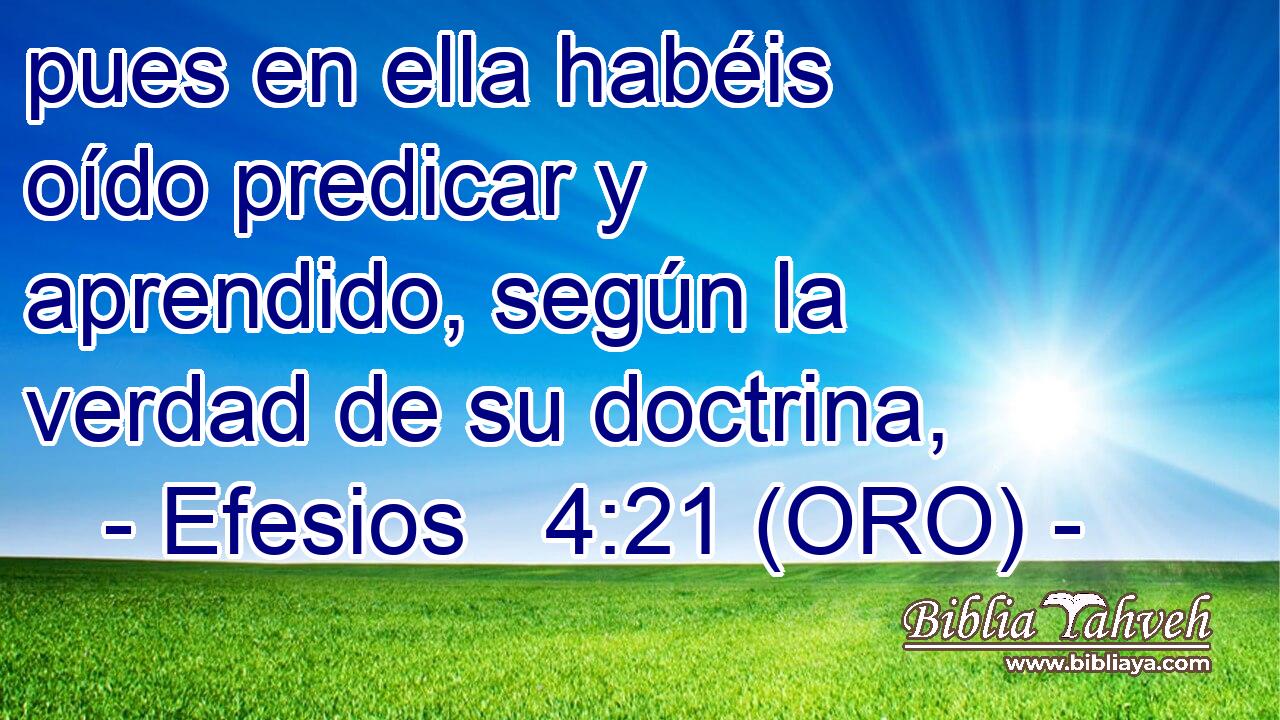  pues en ella habéis oído predicar y aprendido, según la verdad de su doctrina, 