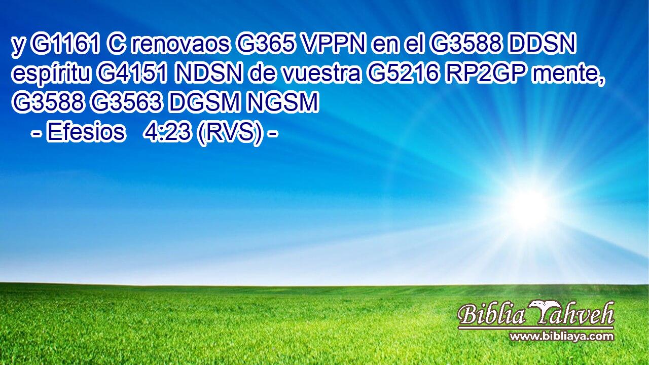 y G1161 C renovaos G365 VPPN en el G3588 DDSN espíritu G4151 NDSN de vuestra G5216 RP2GP mente, G3588 G3563 DGSM NGSM 