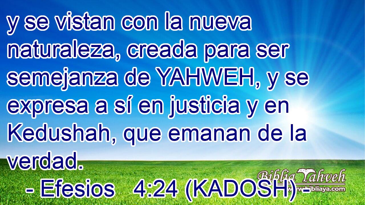  y se vistan con la nueva naturaleza, creada para ser semejanza de YAHWEH, y se expresa a sí en justicia y en Kedushah, que emanan de la verdad. 