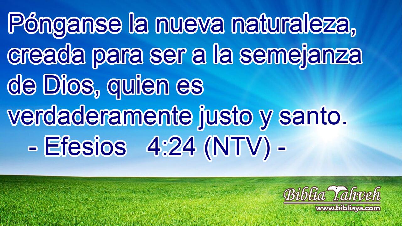Pónganse la nueva naturaleza, creada para ser a la semejanza de Dios, quien es verdaderamente justo y santo.