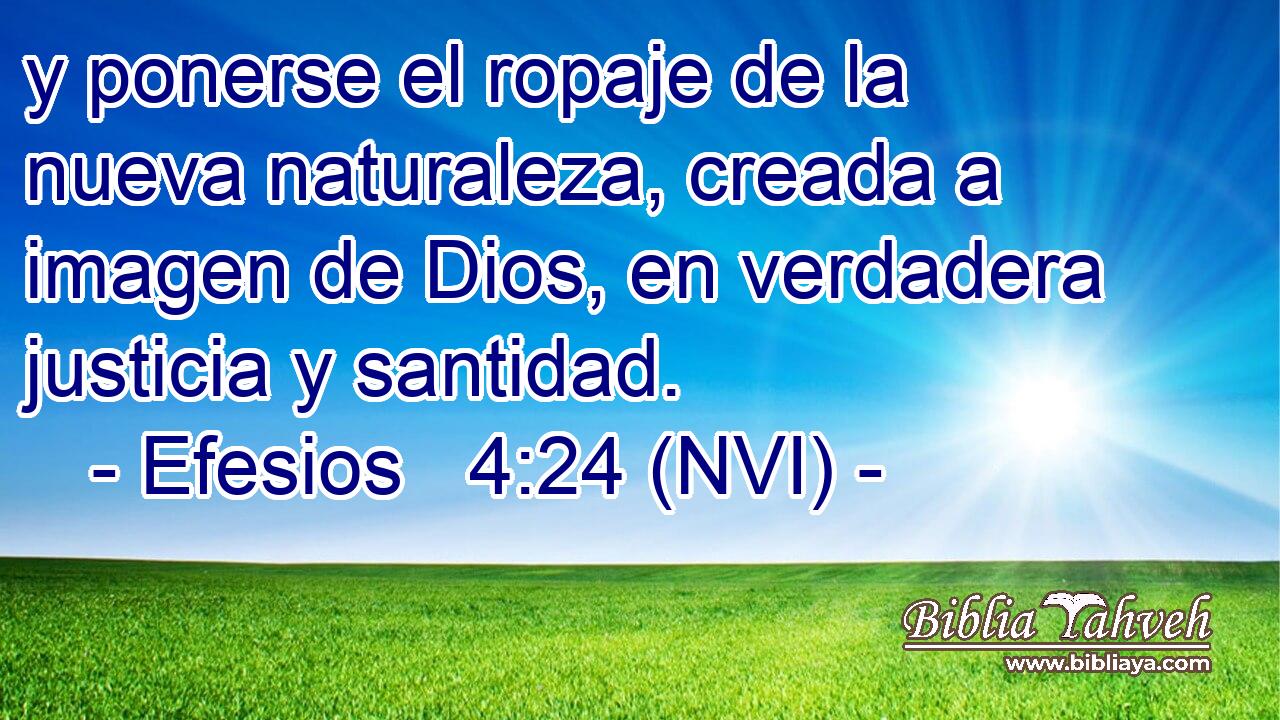  y ponerse el ropaje de la nueva naturaleza, creada a imagen de Dios, en verdadera justicia y santidad. 