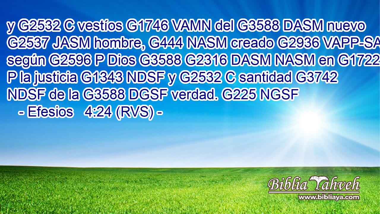 y G2532 C vestíos G1746 VAMN del G3588 DASM nuevo G2537 JASM hombre, G444 NASM creado G2936 VAPP-SAM según G2596 P Dios G3588 G2316 DASM NASM en G1722 P la justicia G1343 NDSF y G2532 C santidad G3742 NDSF de la G3588 DGSF verdad. G225 NGSF 