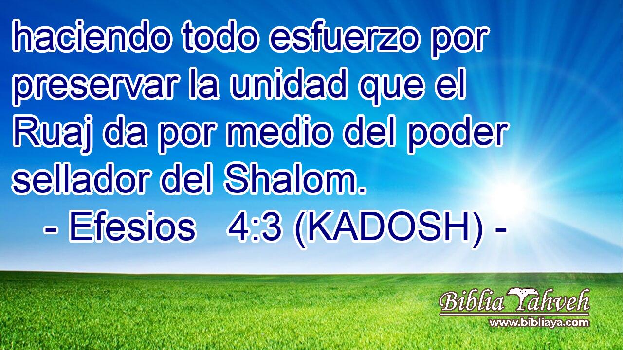  haciendo todo esfuerzo por preservar la unidad que el Ruaj da por medio del poder sellador del Shalom. 