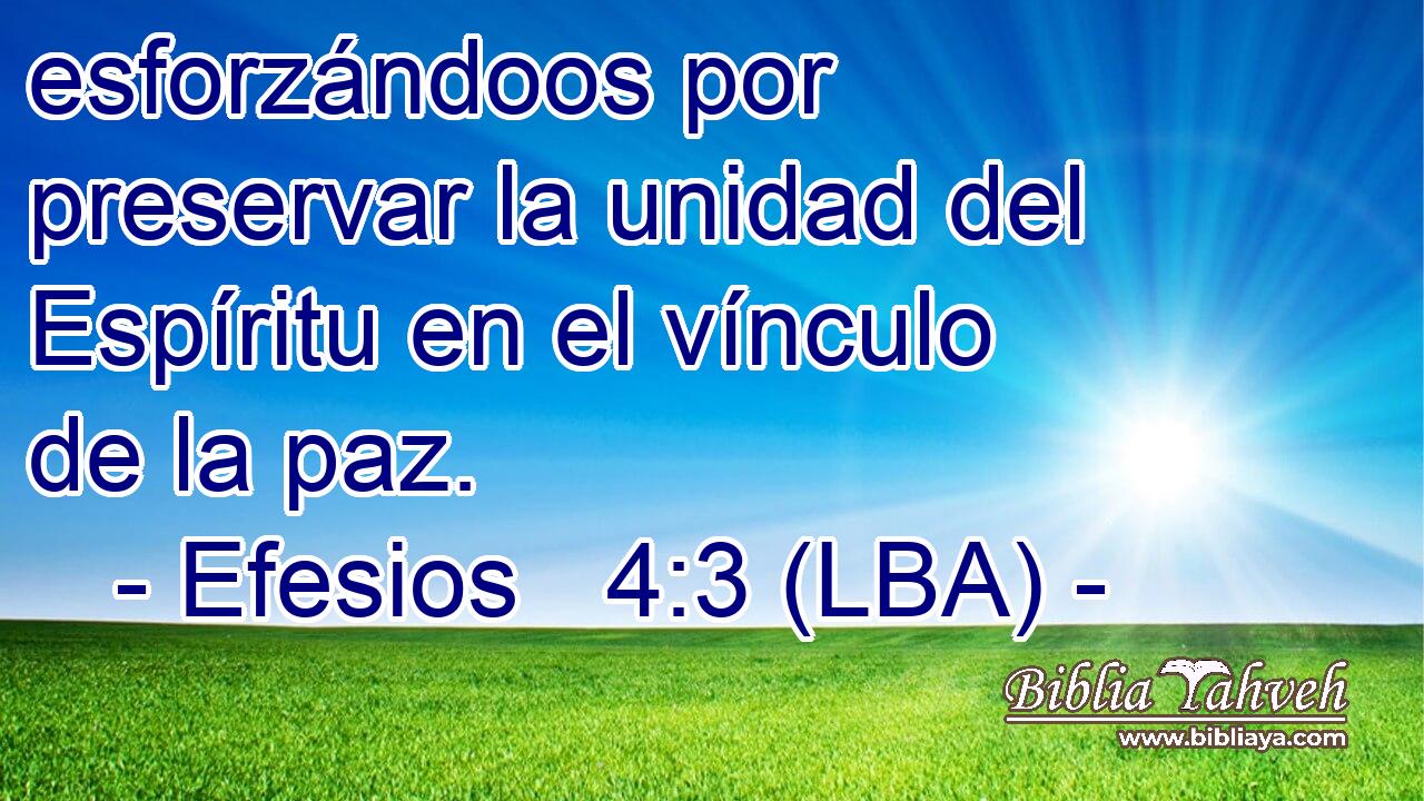 esforzándoos por preservar la unidad del Espíritu en el vínculo de la paz.