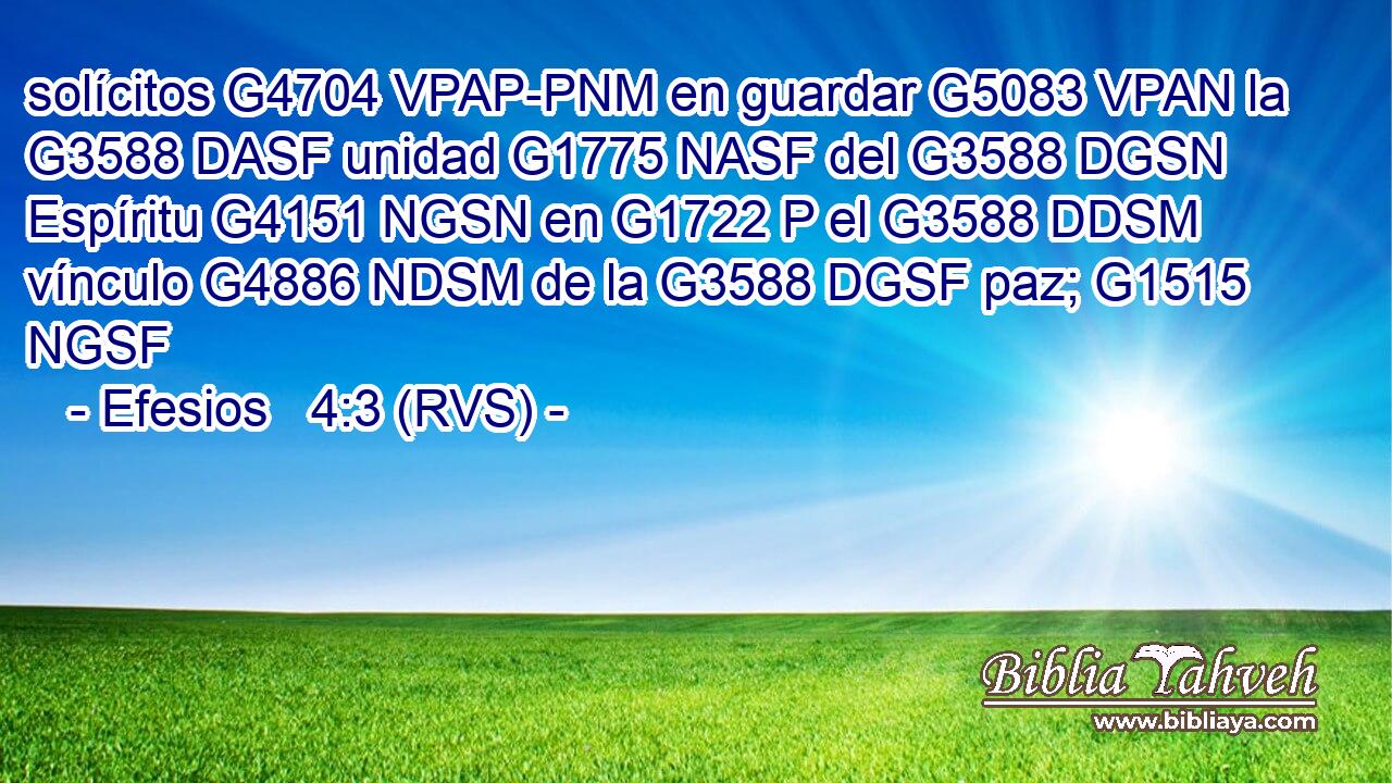 solícitos G4704 VPAP-PNM en guardar G5083 VPAN la G3588 DASF unidad G1775 NASF del G3588 DGSN Espíritu G4151 NGSN en G1722 P el G3588 DDSM vínculo G4886 NDSM de la G3588 DGSF paz; G1515 NGSF 