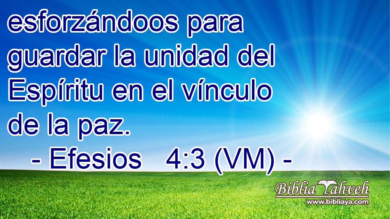  esforzándoos para guardar la unidad del Espíritu en el vínculo de la paz. 