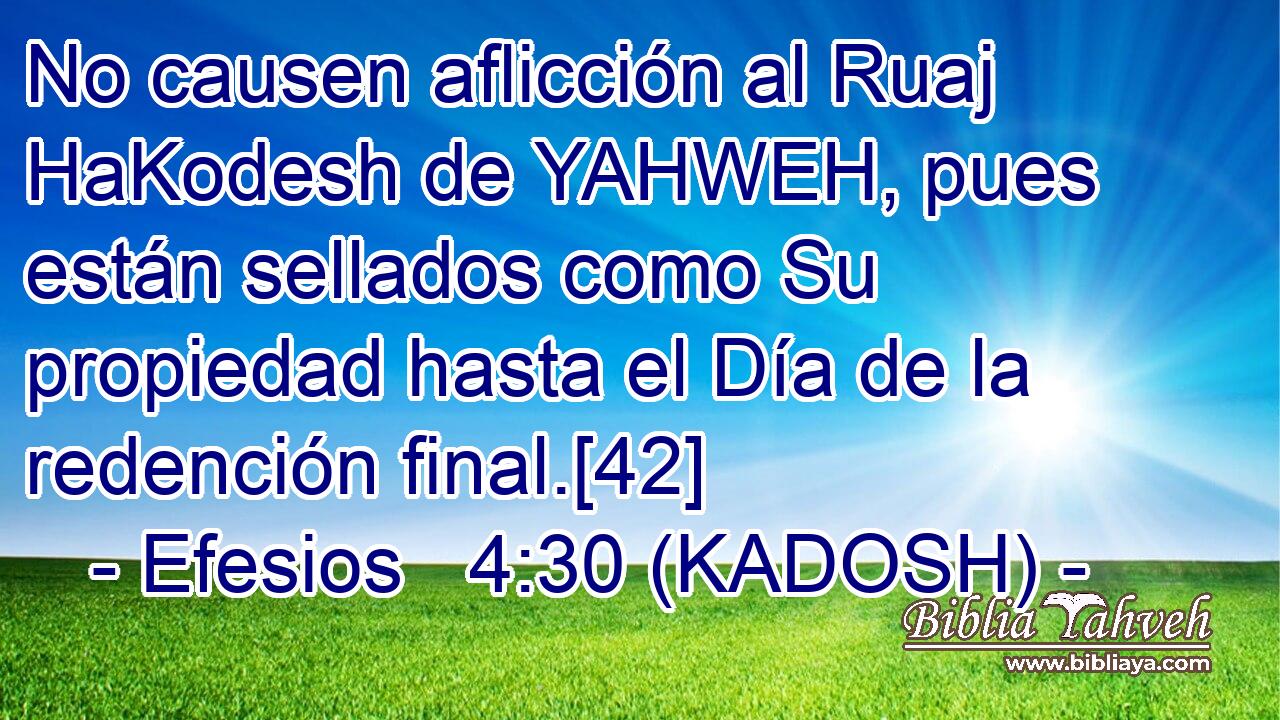  No causen aflicción al Ruaj HaKodesh de YAHWEH, pues están sellados como Su propiedad hasta el Día de la redención final.[42] 