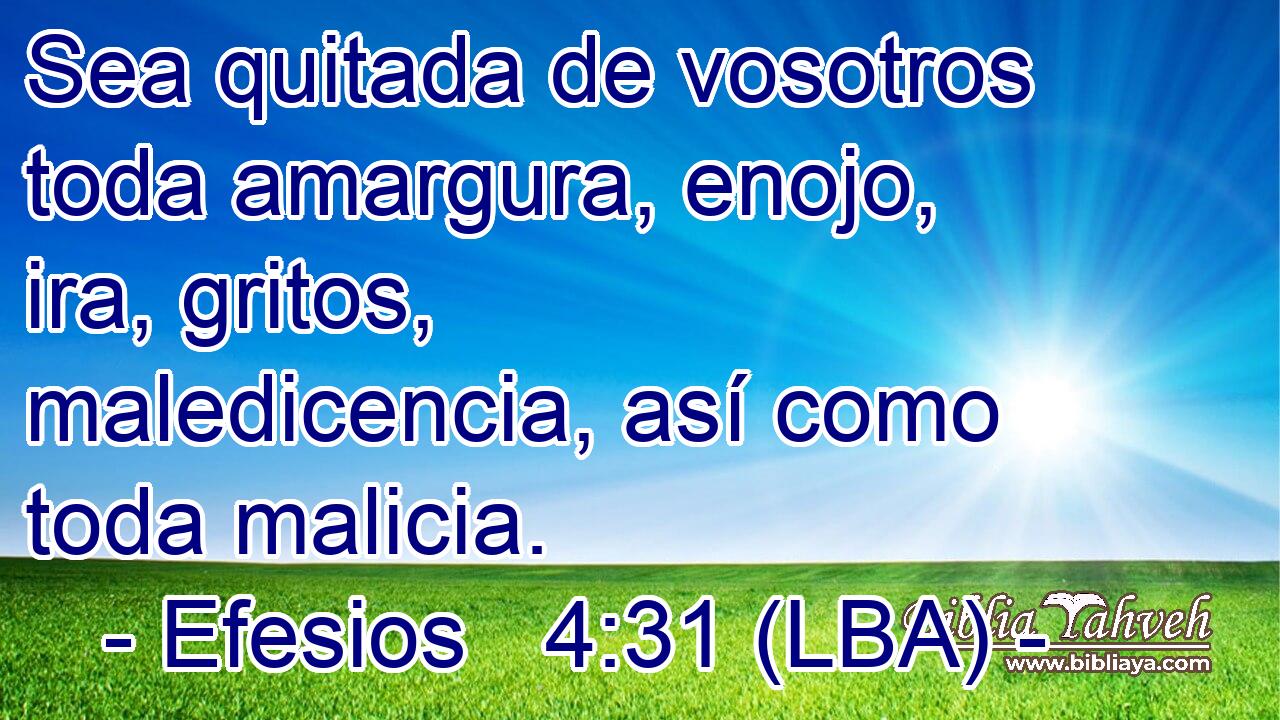 Sea quitada de vosotros toda amargura, enojo, ira, gritos, maledicencia, así como toda malicia.