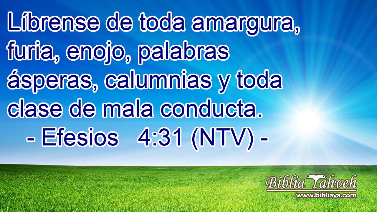 Líbrense de toda amargura, furia, enojo, palabras ásperas, calumnias y toda clase de mala conducta.