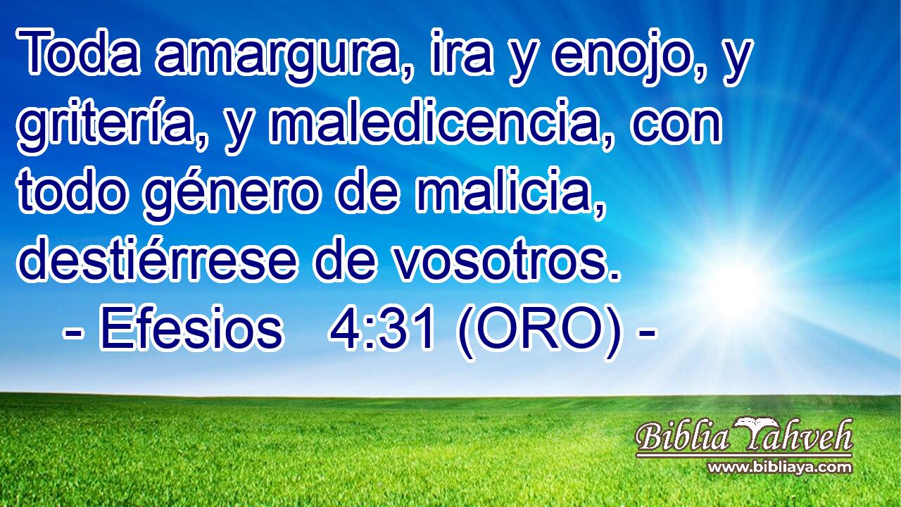  Toda amargura, ira y enojo, y gritería, y maledicencia, con todo género de malicia, destiérrese de vosotros. 