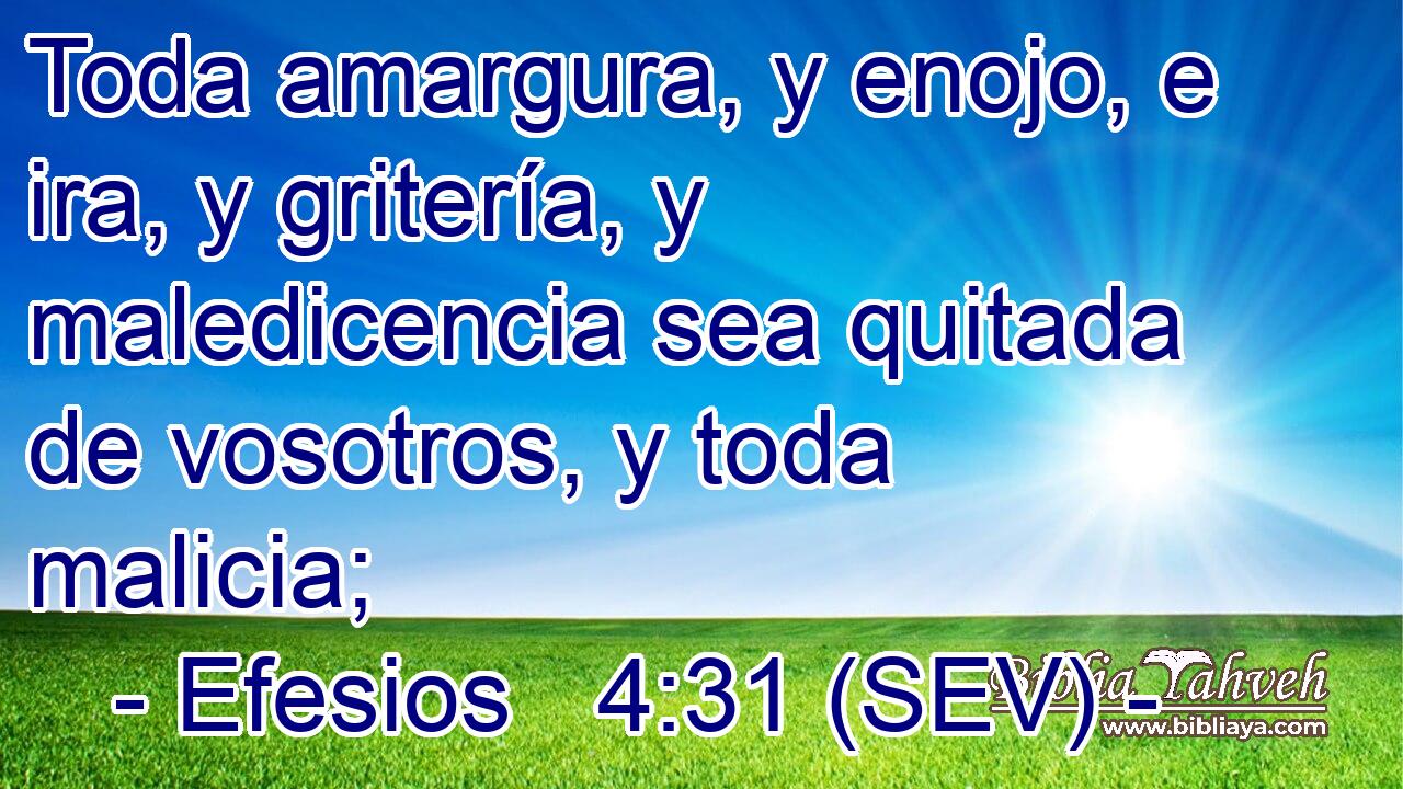 Toda amargura, y enojo, e ira, y gritería, y maledicencia sea quitada de vosotros, y toda malicia;