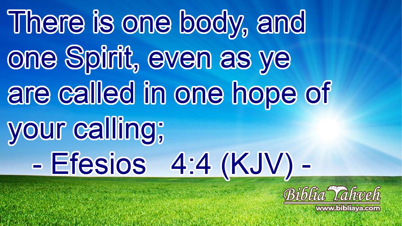 There is one body, and one Spirit, even as ye are called in one hope of your calling;
