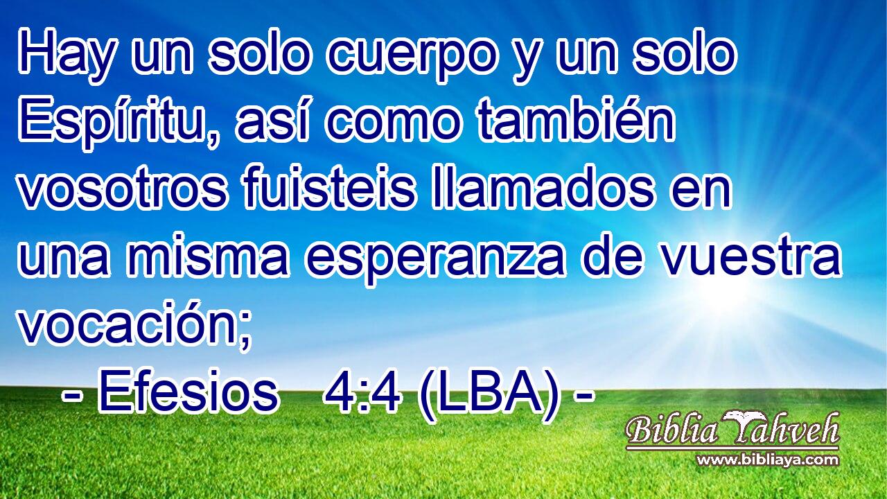 Hay un solo cuerpo y un solo Espíritu, así como también vosotros fuisteis llamados en una misma esperanza de vuestra vocación;