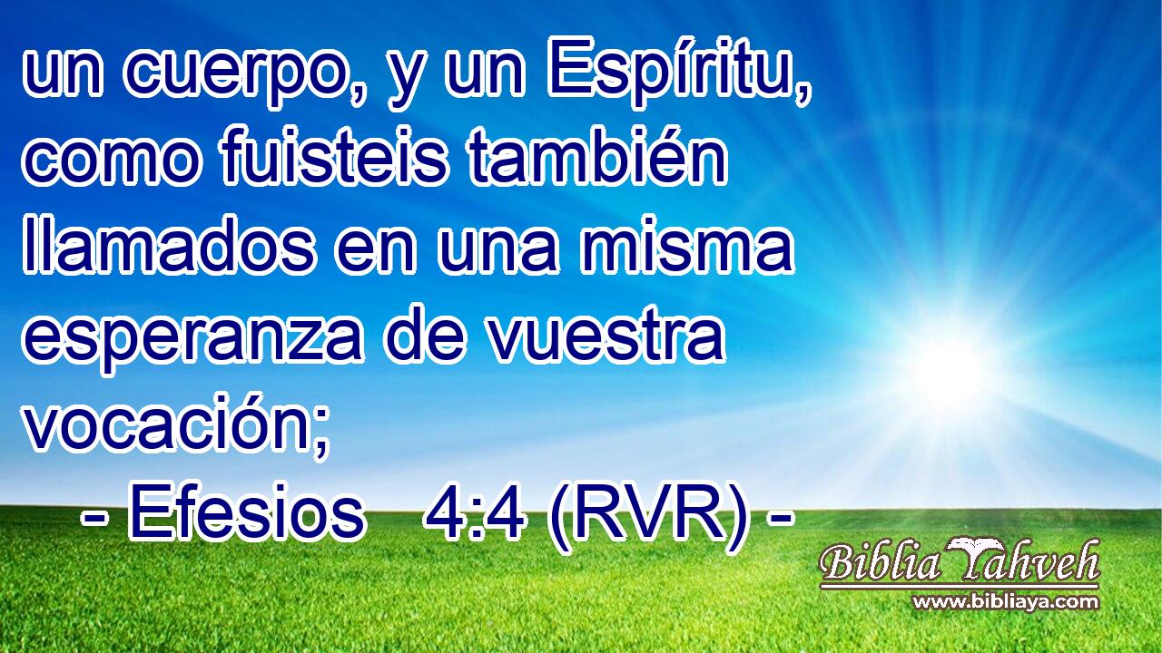 un cuerpo, y un Espíritu, como fuisteis también llamados en una misma esperanza de vuestra vocación;