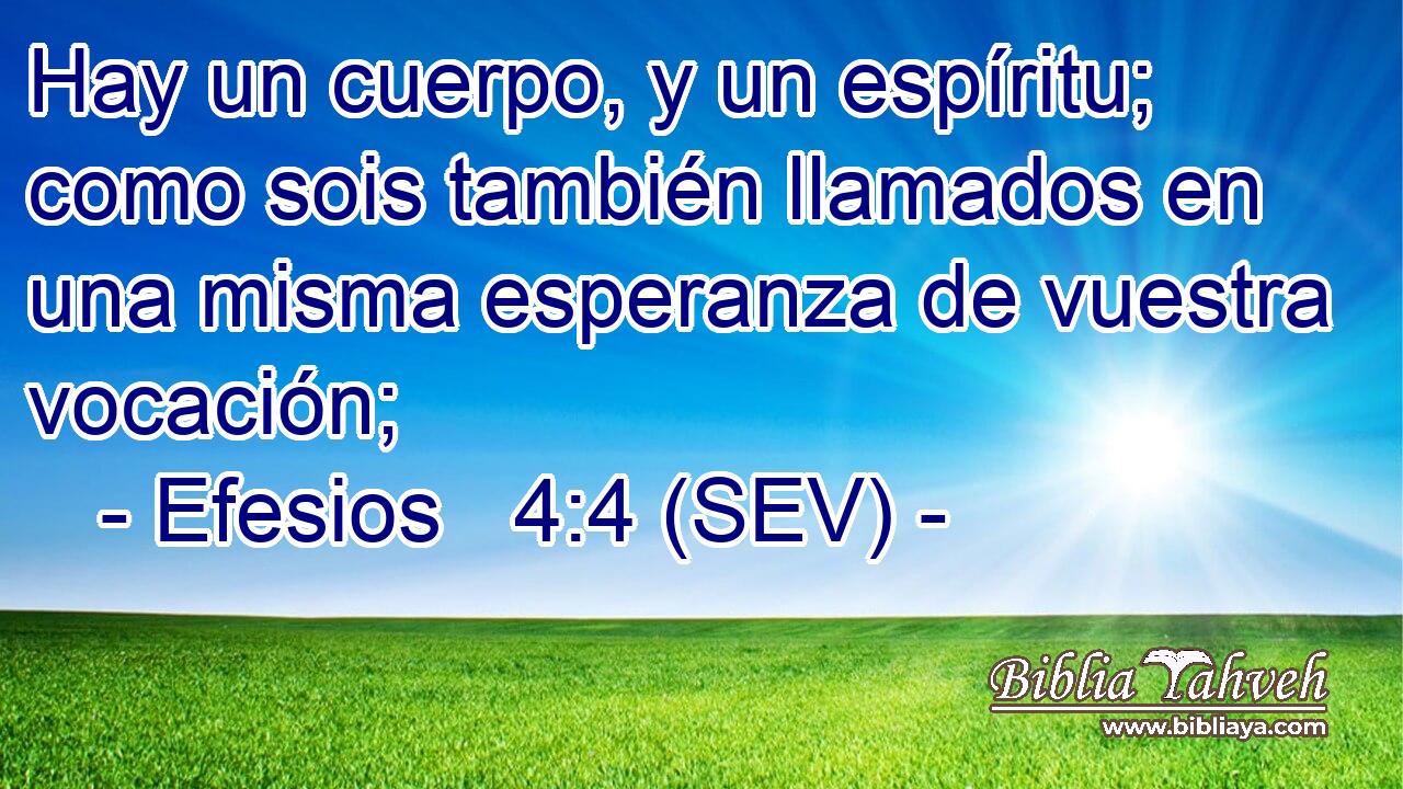Hay un cuerpo, y un espíritu; como sois también llamados en una misma esperanza de vuestra vocación;