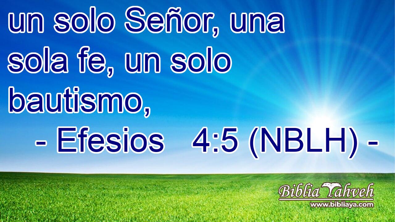  un solo Señor, una sola fe, un solo bautismo, 