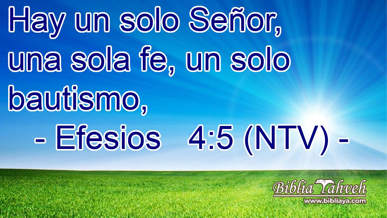 Hay un solo Señor, una sola fe, un solo bautismo,
