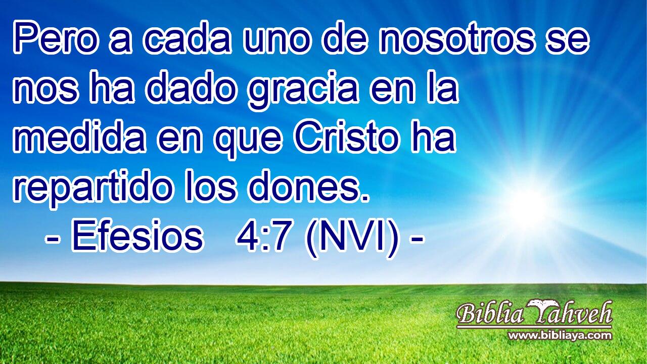  Pero a cada uno de nosotros se nos ha dado gracia en la medida en que Cristo ha repartido los dones. 