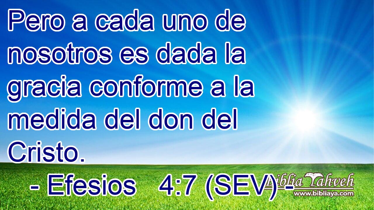 Pero a cada uno de nosotros es dada la gracia conforme a la medida del don del Cristo.