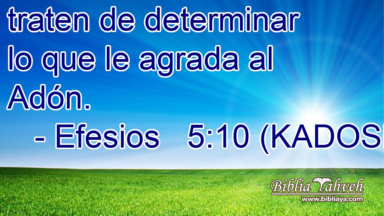  traten de determinar lo que le agrada al Adón. 