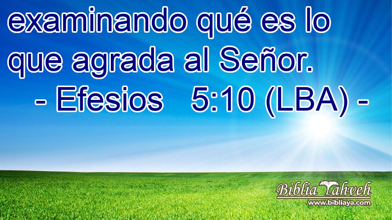 examinando qué es lo que agrada al Señor.
