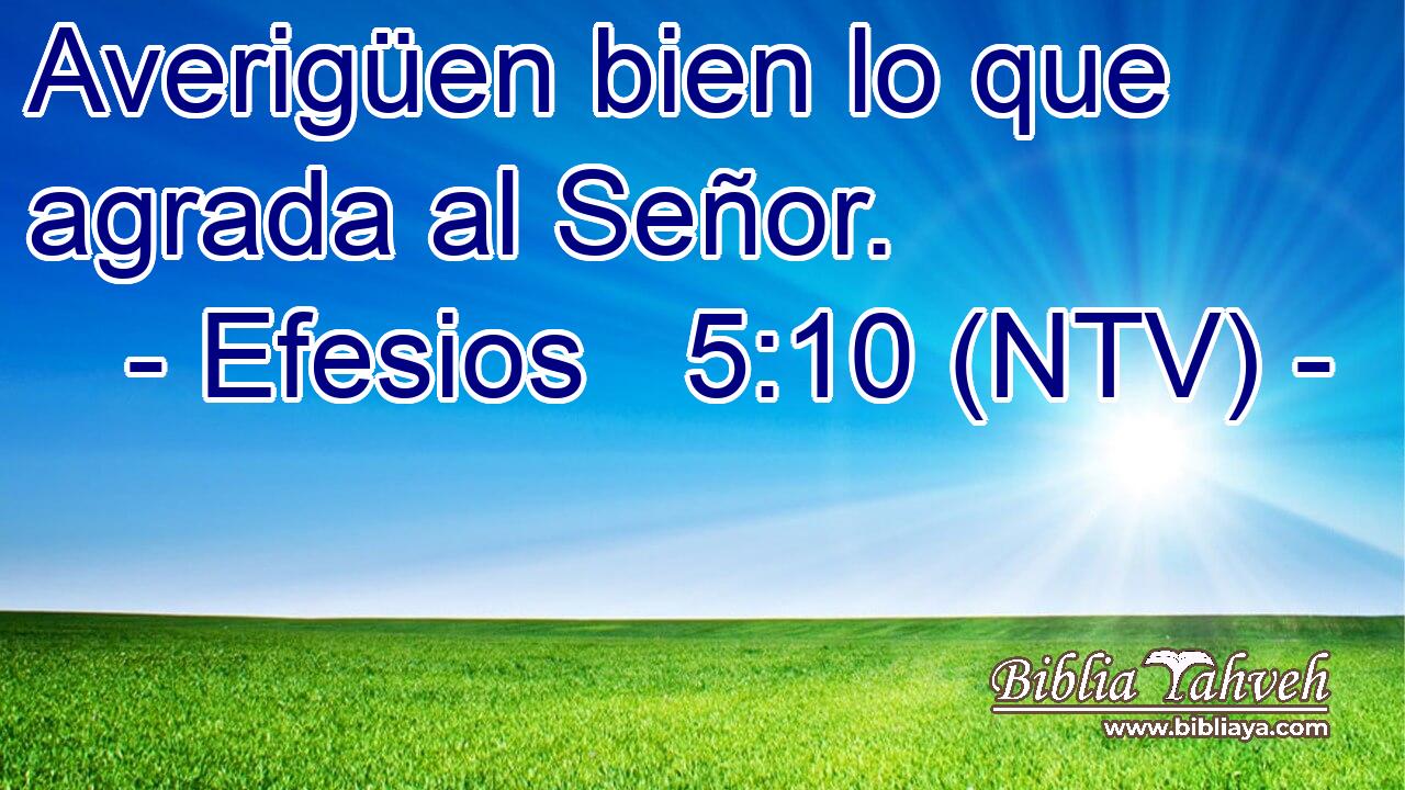 Averigüen bien lo que agrada al Señor.