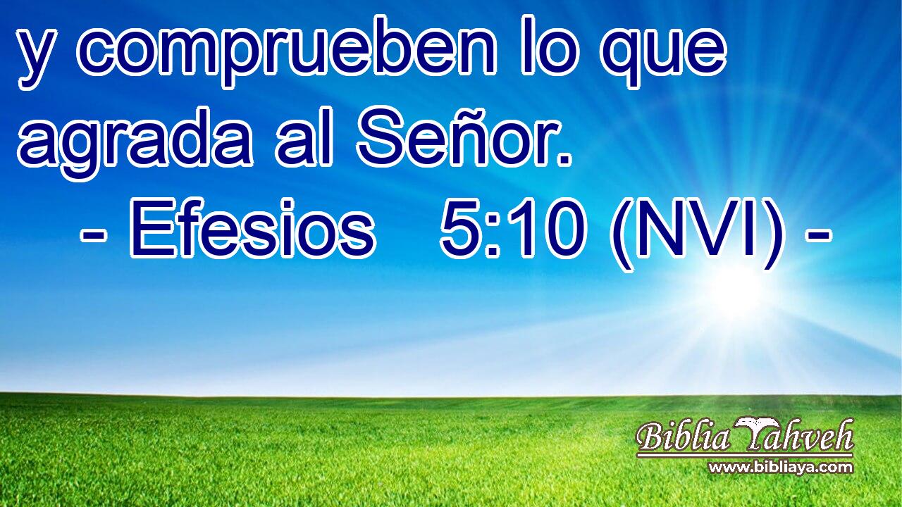  y comprueben lo que agrada al Señor. 