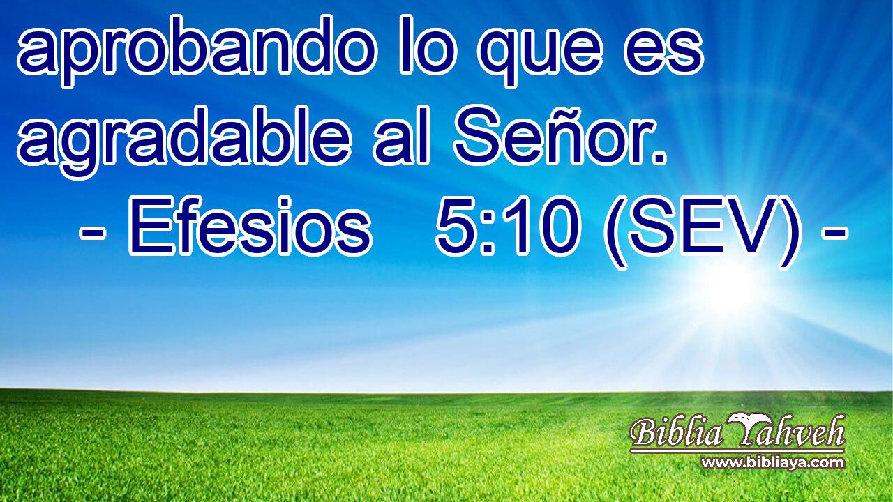 aprobando lo que es agradable al Señor.