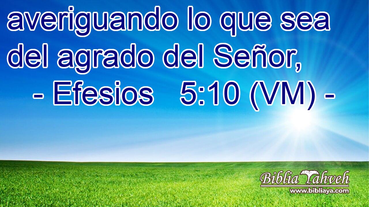  averiguando lo que sea del agrado del Señor, 