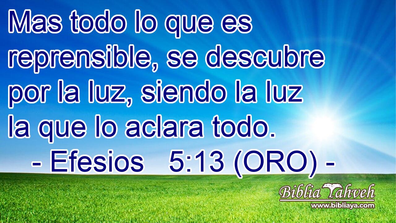  Mas todo lo que es reprensible, se descubre por la luz, siendo la luz la que lo aclara todo. 