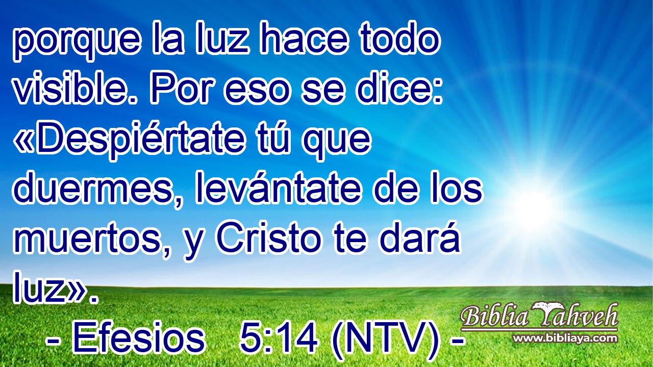porque la luz hace todo visible. Por eso se dice: «Despiértate tú que duermes, levántate de los muertos, y Cristo te dará luz».