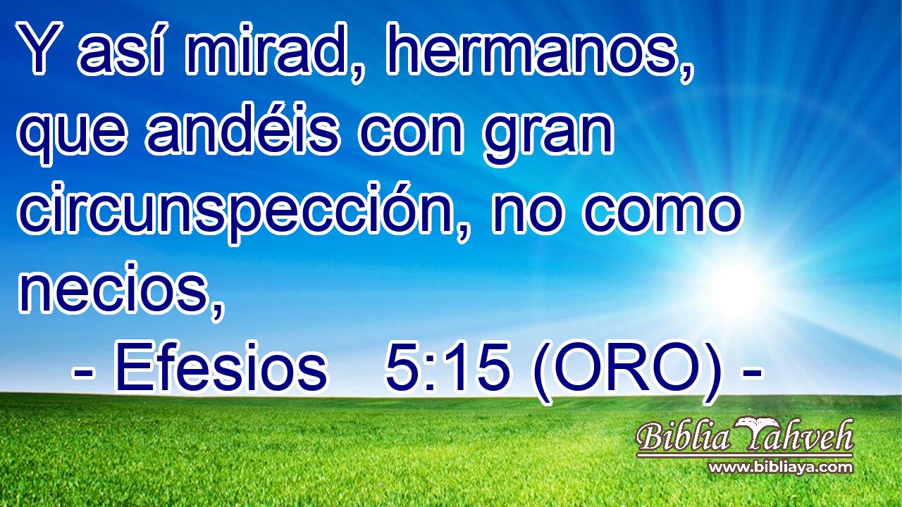  Y así mirad, hermanos, que andéis con gran circunspección, no como necios, 