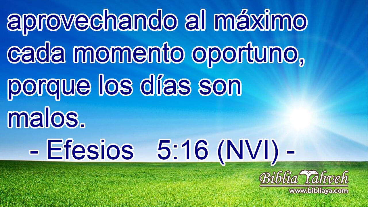  aprovechando al máximo cada momento oportuno, porque los días son malos. 