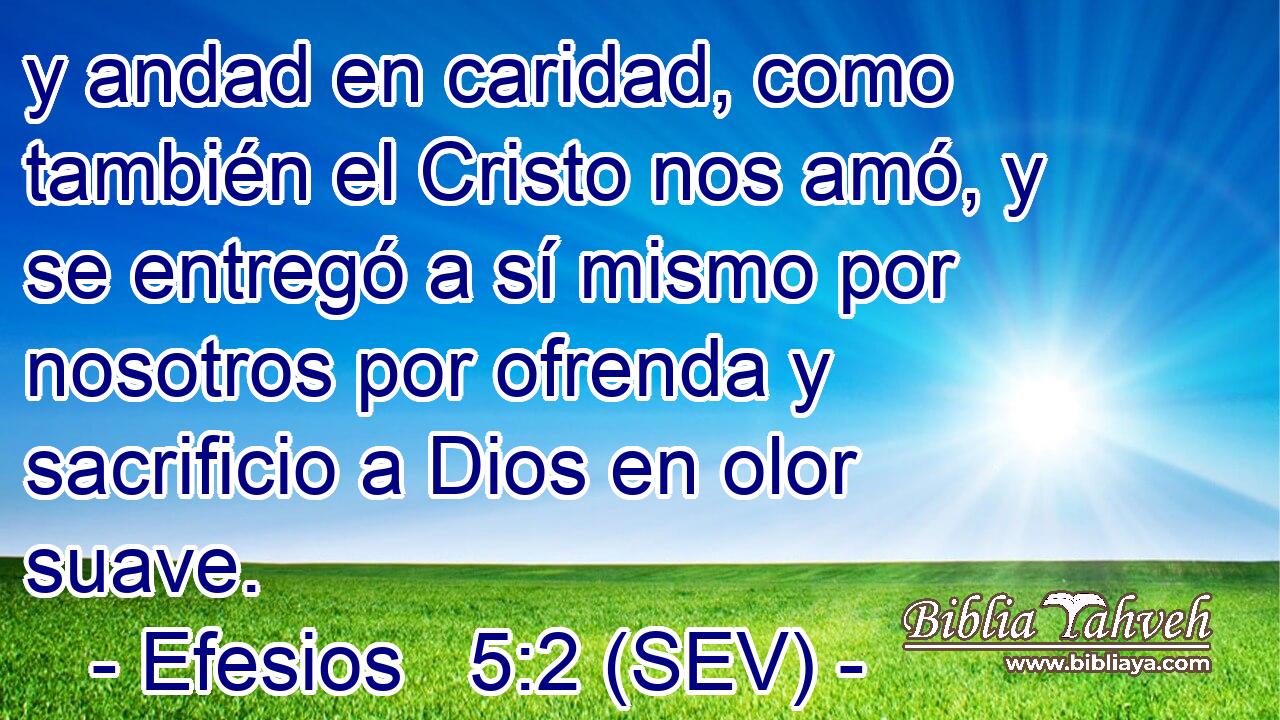 y andad en caridad, como también el Cristo nos amó, y se entregó a sí mismo por nosotros por ofrenda y sacrificio a Dios en olor suave.
