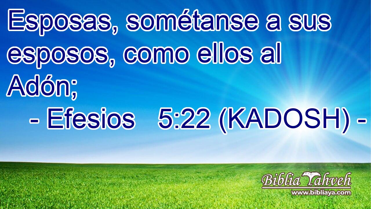  Esposas, sométanse a sus esposos, como ellos al Adón; 