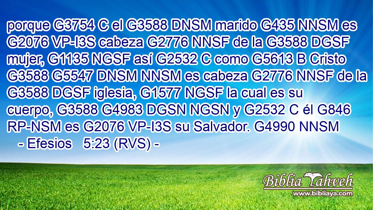 porque G3754 C el G3588 DNSM marido G435 NNSM es G2076 VP-I3S cabeza G2776 NNSF de la G3588 DGSF mujer, G1135 NGSF así G2532 C como G5613 B Cristo G3588 G5547 DNSM NNSM es cabeza G2776 NNSF de la G3588 DGSF iglesia, G1577 NGSF la cual es su cuerpo, G3588 G4983 DGSN NGSN y G2532 C él G846 RP-NSM es G2076 VP-I3S su Salvador. G4990 NNSM 
