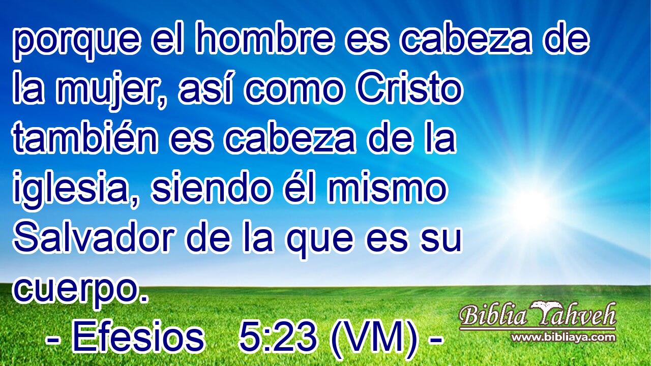  porque el hombre es cabeza de la mujer, así como Cristo también es cabeza de la iglesia, siendo él mismo Salvador de la que es su cuerpo. 