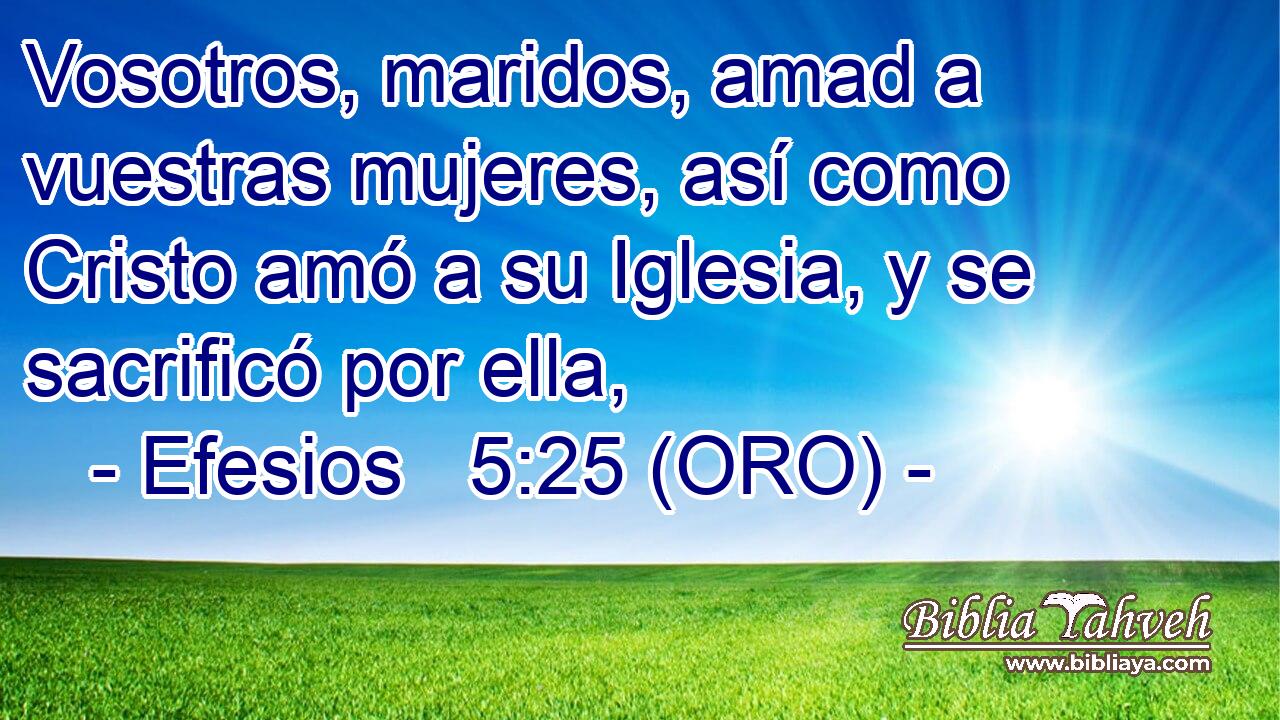  Vosotros, maridos, amad a vuestras mujeres, así como Cristo amó a su Iglesia, y se sacrificó por ella, 