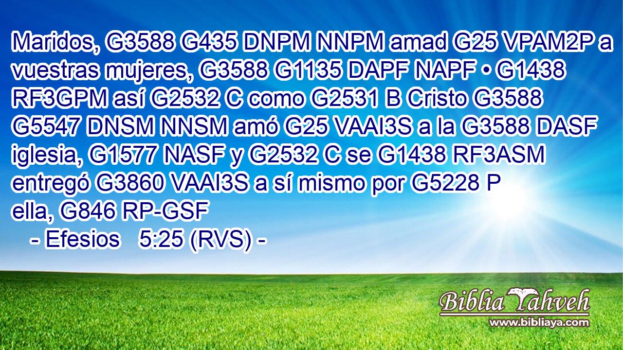 Maridos, G3588 G435 DNPM NNPM amad G25 VPAM2P a vuestras mujeres, G3588 G1135 DAPF NAPF • G1438 RF3GPM así G2532 C como G2531 B Cristo G3588 G5547 DNSM NNSM amó G25 VAAI3S a la G3588 DASF iglesia, G1577 NASF y G2532 C se G1438 RF3ASM entregó G3860 VAAI3S a sí mismo por G5228 P ella, G846 RP-GSF 