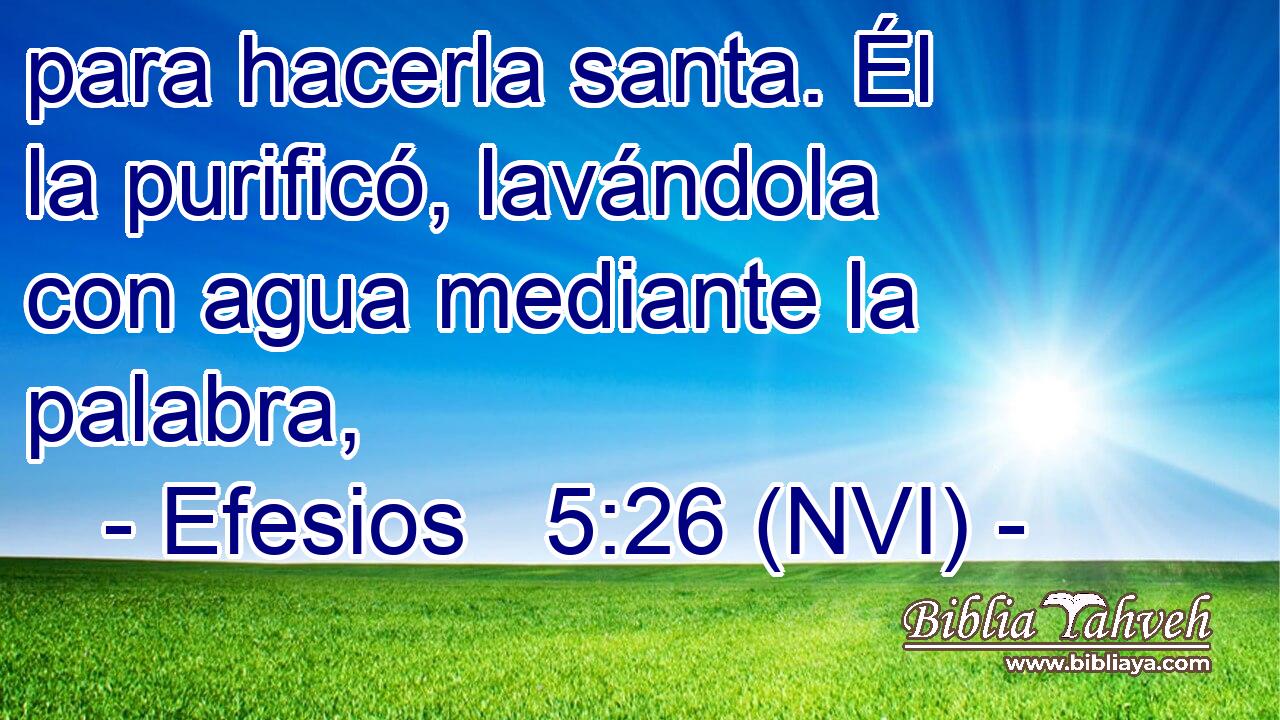  para hacerla santa. Él la purificó, lavándola con agua mediante la palabra, 