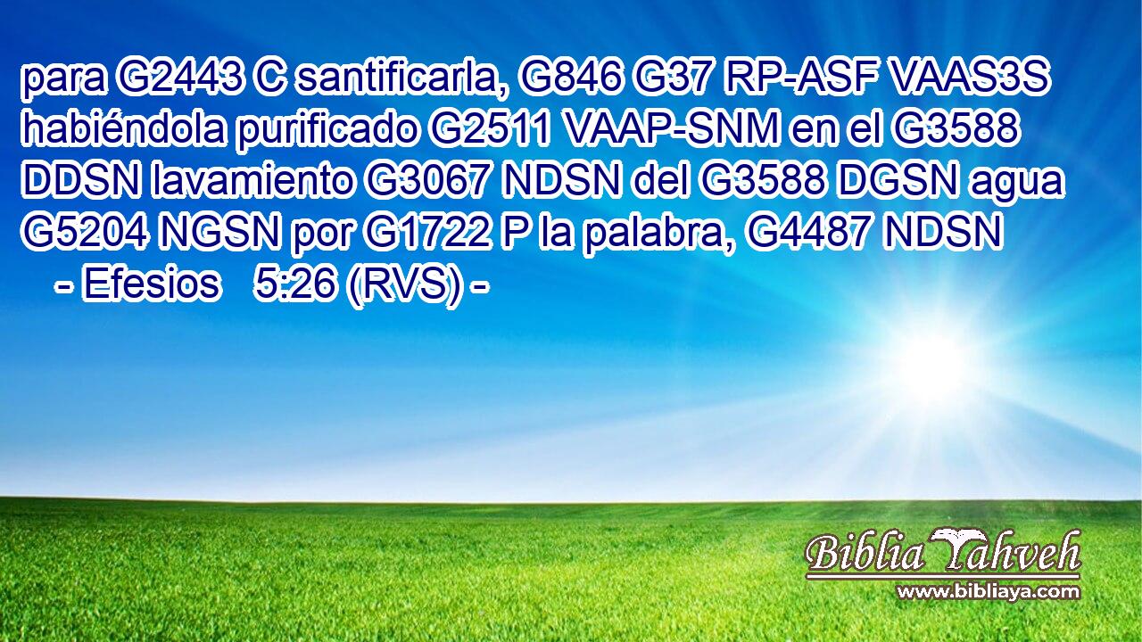 para G2443 C santificarla, G846 G37 RP-ASF VAAS3S habiéndola purificado G2511 VAAP-SNM en el G3588 DDSN lavamiento G3067 NDSN del G3588 DGSN agua G5204 NGSN por G1722 P la palabra, G4487 NDSN 