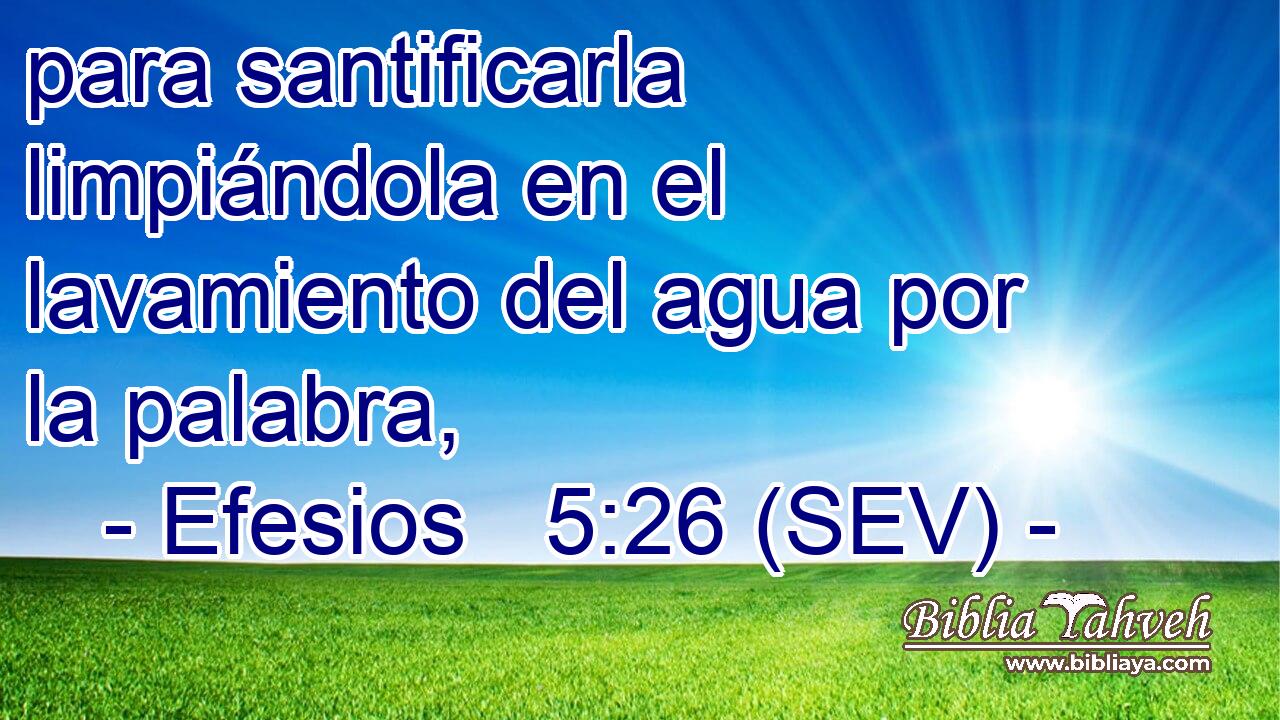 para santificarla limpiándola en el lavamiento del agua por la palabra,
