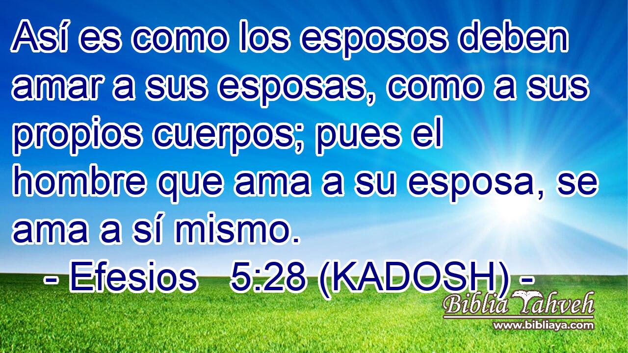  Así es como los esposos deben amar a sus esposas, como a sus propios cuerpos; pues el hombre que ama a su esposa, se ama a sí mismo. 